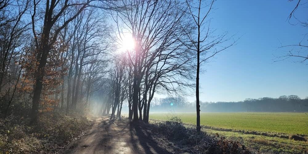 Wandelen bij B&B De Grote Waaij