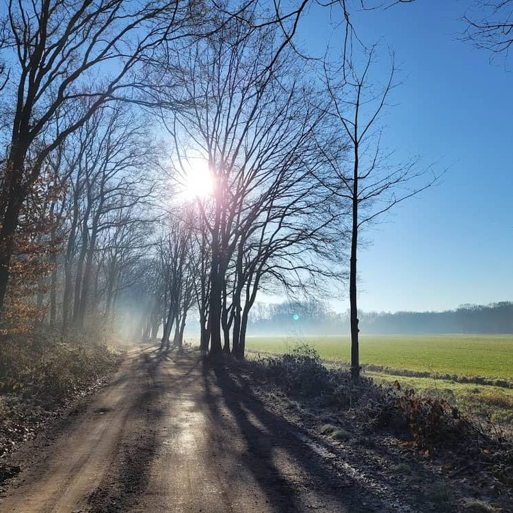 Wandelen bij B&B De Grote Waaij